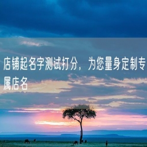 店铺起名字测试打分，为您量身定制专属店名