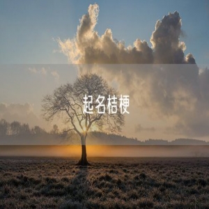 起名桔梗