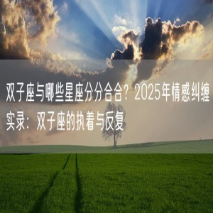 双子座与哪些星座分分合合？2025年情感纠缠实录：双子座的执着与反复