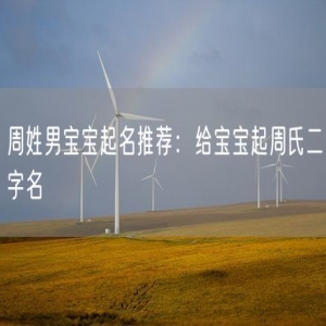周姓男宝宝起名推荐：给宝宝起周氏二字名