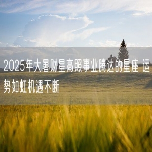 2025年大暑财星高照事业腾达的星座 运势如虹机遇不断