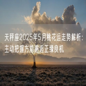 天秤座2025年5月桃花运走势解析：主动把握方能邂逅正缘良机