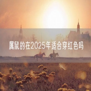 属鼠的在2025年适合穿红色吗