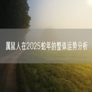 属鼠人在2025蛇年的整体运势分析