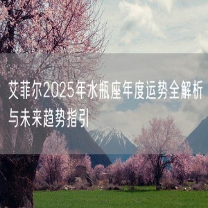 艾菲尔2025年水瓶座年度运势全解析与未来趋势指引