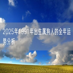 2025年1991年出生属狗人的全年运势分析