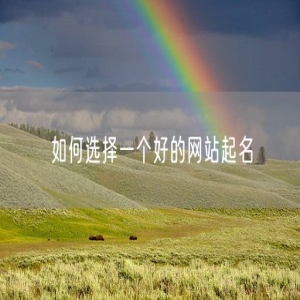 如何选择一个好的网站起名