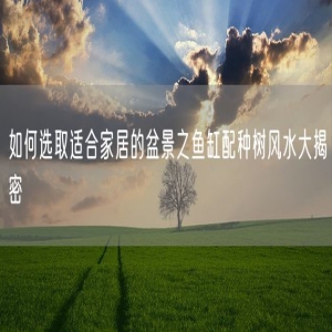 如何选取适合家居的盆景之鱼缸配种树风水大揭密
