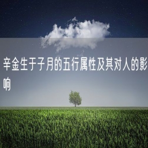 辛金生于子月的五行属性及其对人的影响
