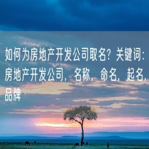 如何为房地产开发公司取名？关键词：房地产开发公司，名称，命名，起名，品牌