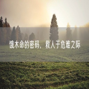 饿木命的密码，救人于危难之际