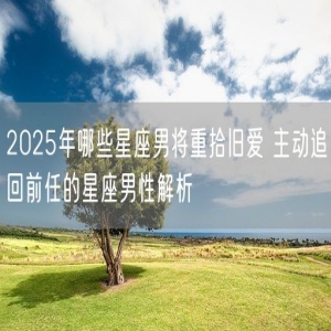 2025年哪些星座男将重拾旧爱 主动追回前任的星座男性解析