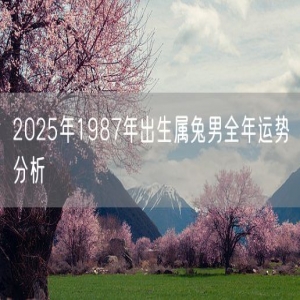 2025年1987年出生属兔男全年运势分析