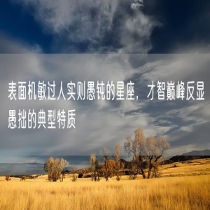 表面机敏过人实则愚钝的星座，才智巅峰反显愚拙的典型特质