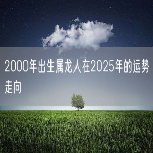 2000年出生属龙人在2025年的运势走向