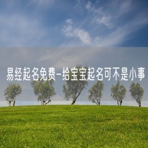 易经起名免费-给宝宝起名可不是小事