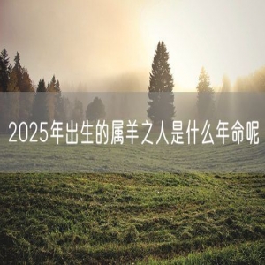 2025年出生的属羊之人是什么年命呢