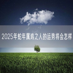 2025年蛇年属鸡之人的运势将会怎样