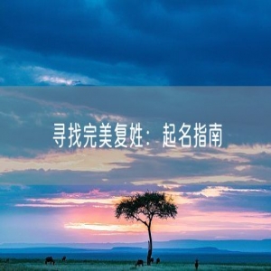 寻找完美复姓：起名指南