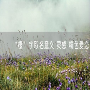 “樱”字取名意义 灵感 粉色爱恋