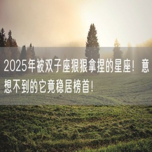 2025年被双子座狠狠拿捏的星座！意想不到的它竟稳居榜首！