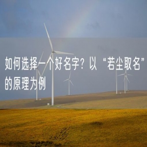 如何选择一个好名字？以“若尘取名”的原理为例