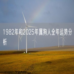 1982年和2025年属狗人全年运势分析