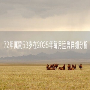 72年属鼠53岁在2025年每月运势详细分析