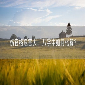 伤官格危害大，八字中如何化解？