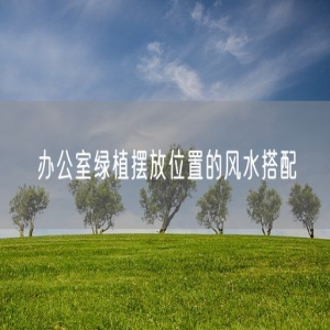办公室绿植摆放位置的风水搭配