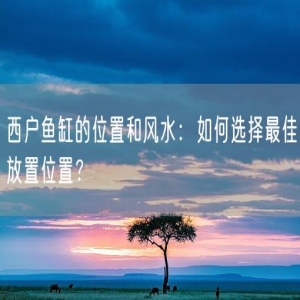 西户鱼缸的位置和风水：如何选择最佳放置位置？