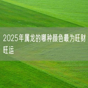 2025年属龙的哪种颜色最为旺财旺运