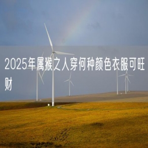 2025年属猴之人穿何种颜色衣服可旺财