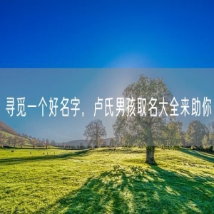 寻觅一个好名字，卢氏男孩取名大全来助你