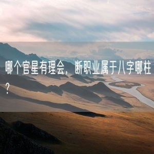 哪个官星有理会，断职业属于八字哪柱？