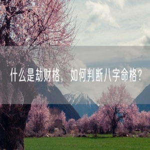 什么是劫财格，如何判断八字命格？