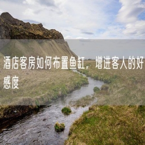 酒店客房如何布置鱼缸，增进客人的好感度