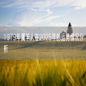 1979年属羊人在2025年的运势情况分析