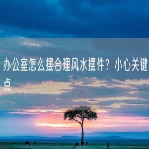 办公室怎么摆合理风水摆件？小心关键点