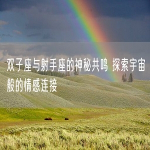 双子座与射手座的神秘共鸣 探索宇宙般的情感连接