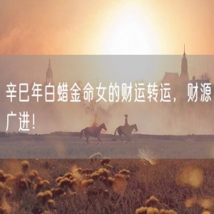 辛巳年白蜡金命女的财运转运，财源广进！
