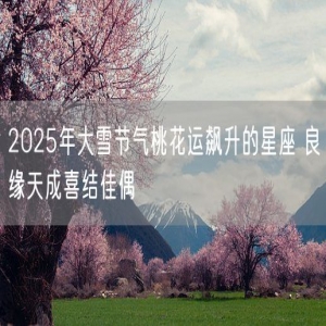 2025年大雪节气桃花运飙升的星座 良缘天成喜结佳偶