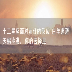 十二星座面对前任的反应 白羊逃避，天蝎冷漠，你的选择是