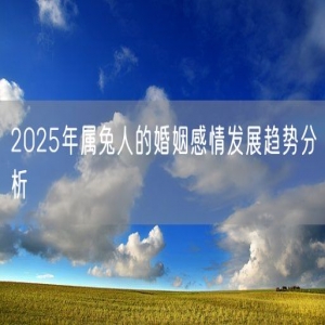 2025年属兔人的婚姻感情发展趋势分析