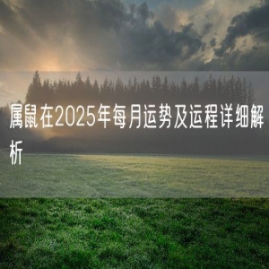属鼠在2025年每月运势及运程详细解析