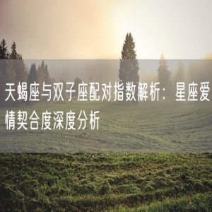 天蝎座与双子座配对指数解析：星座爱情契合度深度分析
