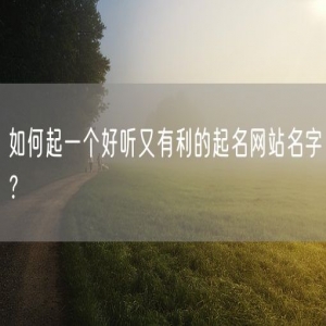 如何起一个好听又有利的起名网站名字？