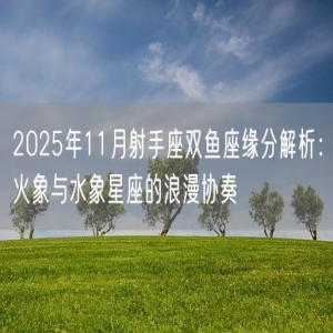 2025年11月射手座双鱼座缘分解析：火象与水象星座的浪漫协奏