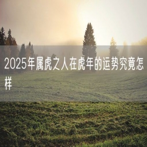 2025年属虎之人在虎年的运势究竟怎样
