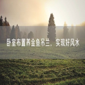 卧室布置养金鱼吊兰，实现好风水